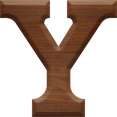 1-5/8 Inch Medium Wood Letter Y