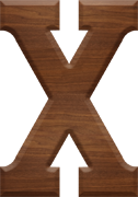 2-1/2 Inch Large Wood Letter X - CHI