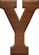 2-1/2 Inch Large Wood Letter Y