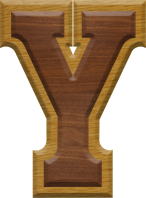 2-3/4 Inch Large Double Raised Wood Letter Y